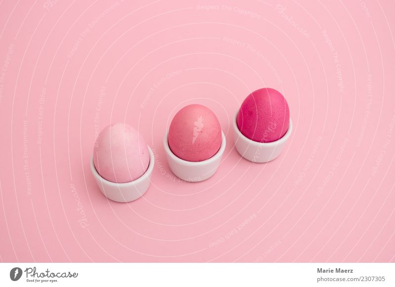3 rosa gefärbte Eier in einer Reihe im Eierbecher Lebensmittel Ernährung Frühstück Stil Design Ostern Essen Blick ästhetisch außergewöhnlich Coolness