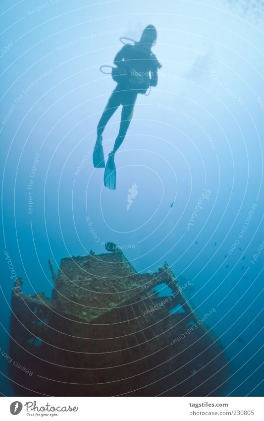 WRACKTAUCHEN Schiffswrack tauchen Sport Taucher Meer Mauritius Wasserfahrzeug Verfall Sonne blau Farbfoto Textfreiraum rechts ruhig Idylle Einsamkeit