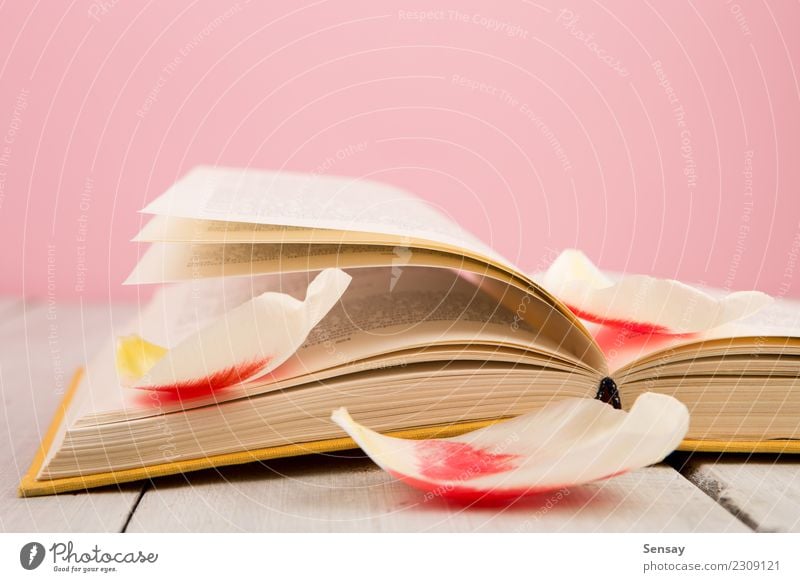 Bildungs- und Lesekonzept lesen Tisch Wissenschaften Schule lernen Studium Business Menschengruppe Buch Bibliothek Blume Blatt Blüte Papier Holz alt rosa rot