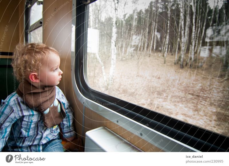 Ein Zugfahrt, die ist lustig. Ferien & Urlaub & Reisen Tourismus Ausflug maskulin Kind Kleinkind Junge Kindheit 1 Mensch 1-3 Jahre Wald Blick blond Freude Glück