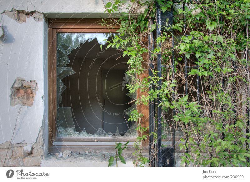 #230999 Menschenleer Ruine Fassade dreckig kaputt Endzeitstimmung Fenster Scherbe Fensterrahmen Fensterscheibe bewachsen zerschlagen glasbruch Pflanze Farbfoto