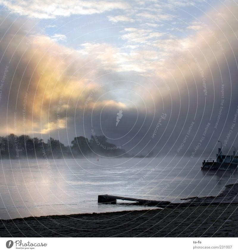 Elbe am Morgen Umwelt Landschaft Wasser Himmel Wolken Sonnenlicht Nebel Flussufer Erwartung Hoffnung Stimmung Farbfoto Außenaufnahme Menschenleer Licht