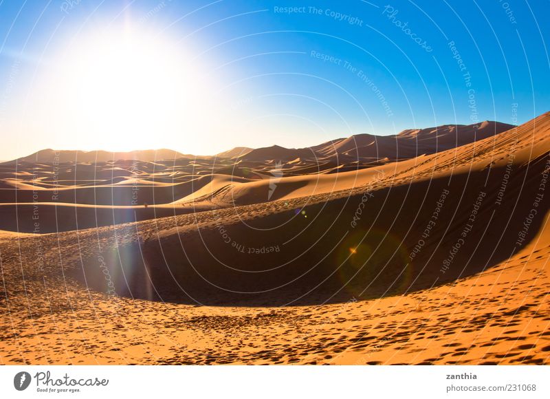 Sahara Landschaft Sand Sonne Sonnenlicht Schönes Wetter Dürre Wüste Horizont Natur Tourismus Umwelt Ferien & Urlaub & Reisen Wandel & Veränderung Marokko Düne