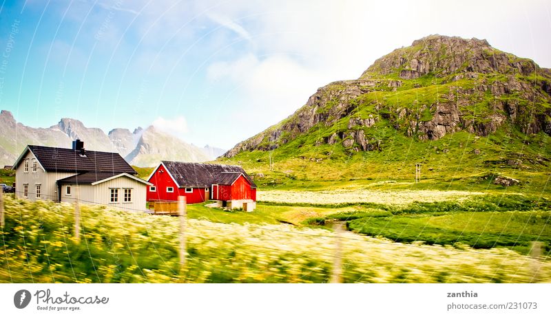 Norway Umwelt Natur Landschaft Himmel Wolken Sommer Schönes Wetter Wiese Hügel Felsen Berge u. Gebirge Haus Einfamilienhaus Hütte Ferien & Urlaub & Reisen