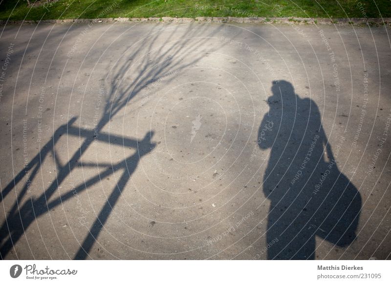 Transparenz 1 Mensch einzigartig Fotograf Fotografie Park Bürgersteig Rasen Baum Schatten Schattenspiel Farbfoto Außenaufnahme Experiment Textfreiraum oben Tag