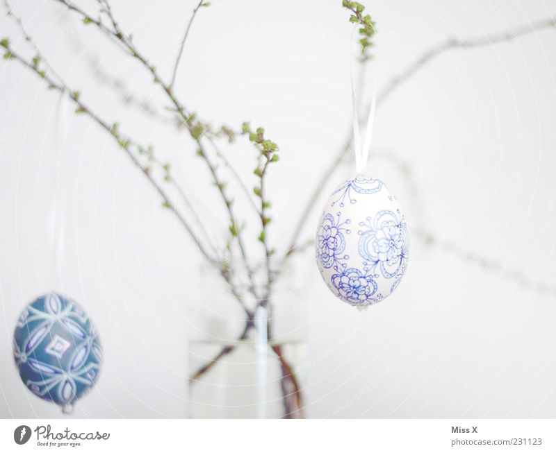 Ostern Sträucher hängen Osterei zart hell-blau Ei bemalt Dekoration & Verzierung Ast Zweige u. Äste Vase Blütenknospen Frühling Frühlingsfest Farbfoto