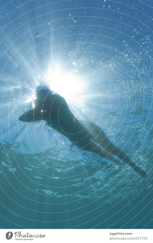 SHARK VIEW Perspektive Ferien & Urlaub & Reisen Frau Schwimmen & Baden Im Wasser treiben Meer Gegenlicht Sonne Sonnenstrahlen Luftblase Silhouette Lichtstrahl