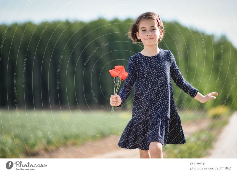 Kleines Mädchen in der Natur im Kleid mit Mohn in der Hand. Lifestyle Freude Glück schön Spielen Sommer Kind Mensch Frau Erwachsene Kindheit 1 3-8 Jahre Blume