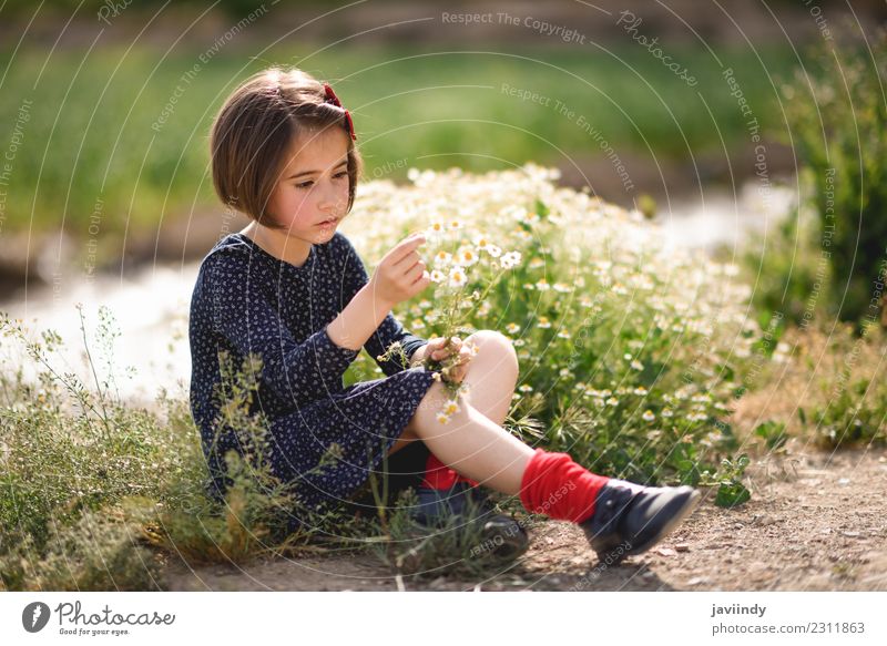 Kleines Mädchen, das in der Natur sitzt und Blumen in der Hand hält. Lifestyle Freude Glück schön Spielen Sommer Kind Mensch Frau Erwachsene Jugendliche 1