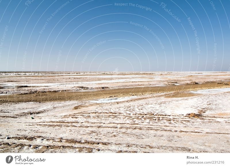 Ausserirdisch Umwelt Natur Landschaft Erde Himmel Schönes Wetter Dürre Wüste Tunesien dehydrieren heiß trocken Einsamkeit Endzeitstimmung Horizont Ferne Salz