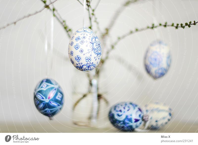 Ostereier Ostern hängen bemalt filigran zerbrechlich blau-weiß Muster Sträucher Zweige u. Äste Ast Vase Glas Dekoration & Verzierung Frühling Ei Eierschale