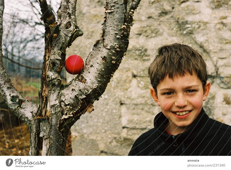 Überraschungsei Junge Kindheit Leben 8-13 Jahre Fröhlichkeit Lebensfreude Ostern Osterei Ostermontag finden Baum Vorfreude Farbfoto Außenaufnahme