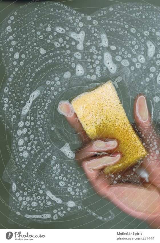 Zeit für den Frühjahrsputz Hand Finger Schaum Schaumblase Reinigen Flüssigkeit frisch nass Sauberkeit gelb machen Wischen Reibung Geschirrspülen rein Saubermann