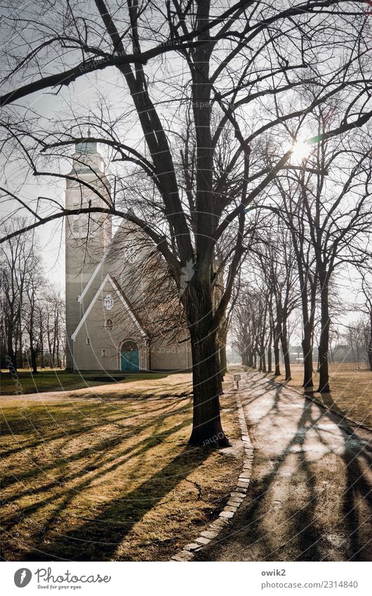 Kirchweg Himmel Frühling Baum Zweige u. Äste Ast Park Falkenberg Deutschland Brandenburg Kleinstadt Stadtzentrum Altstadt Kirche Gebäude Architektur