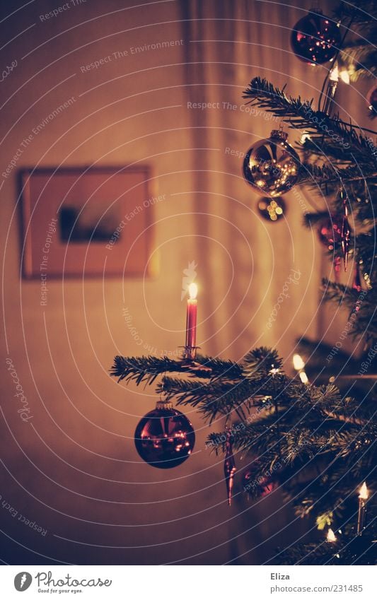 Geschmückter Weihnachtsbaum mit brennender Kerze und Christbaumkugeln im Wohnzimmer Ambiente besinnlich Kerzenschein Licht altehrwürdig Innenaufnahme