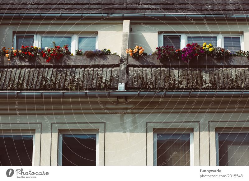 Balkon mit Blumen im Dachgeschoss Kleinstadt Stadt Haus Dachrinne Häusliches Leben oben Klischee Einsamkeit Mittelstand Symmetrie mehrfarbig Fenster Pelargonie