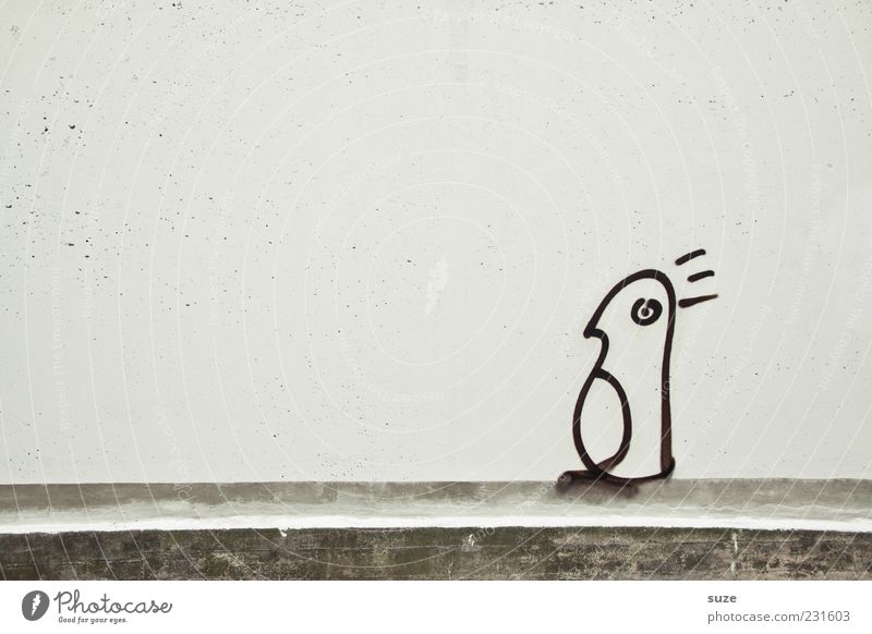 Wer bin ich ... Kunst Mauer Wand Fassade Tier Vogel Pinguin 1 authentisch einfach einzigartig lustig trist grau weiß Graffiti Comic Zeichnung Schmiererei