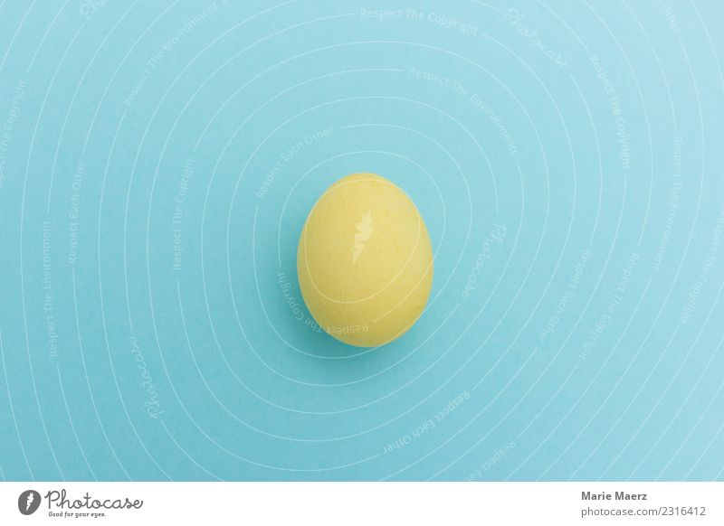 Gelbes Osterei Ei Ostern Essen einfach neu blau gelb Neugier Erwartung Kreativität rein Überraschung zart sensibel zerbrechlich geschlossen Haushuhn 1 kochen