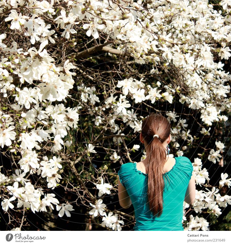 weiß & blau Mensch feminin Junge Frau Jugendliche Erwachsene 1 Umwelt Natur Pflanze Baum Blume Haare & Frisuren brünett langhaarig Zopf wählen berühren schön
