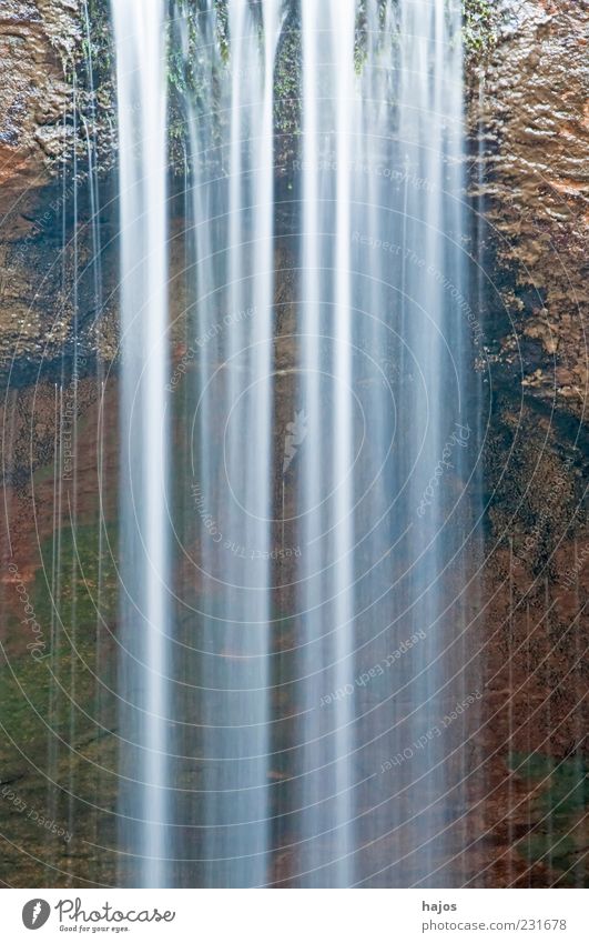 Wasserfall ästhetisch Bewegung Energie fließen schäumen Wildbach Sturzbach strömen Hintergrundbild Kraft Naturschutzgebiet rein deutlich Farbfoto Außenaufnahme