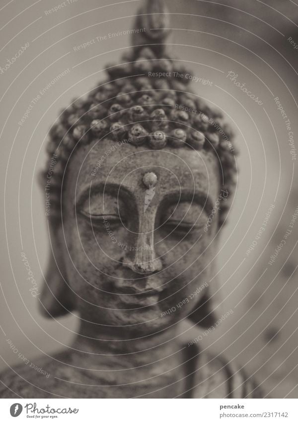 verwandlung | gautama zu buddha ruhig Meditation Dekoration & Verzierung Skulptur Energie geheimnisvoll Gelassenheit Identität kompetent Konzentration Kultur