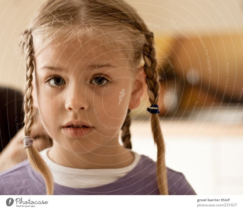 Kind Mädchen Zöpfe Augen Mensch Kindheit Kopf Haare & Frisuren 1 3-8 Jahre warten Neugier Zopf violett Farbfoto mehrfarbig Innenaufnahme Nahaufnahme Tag Licht