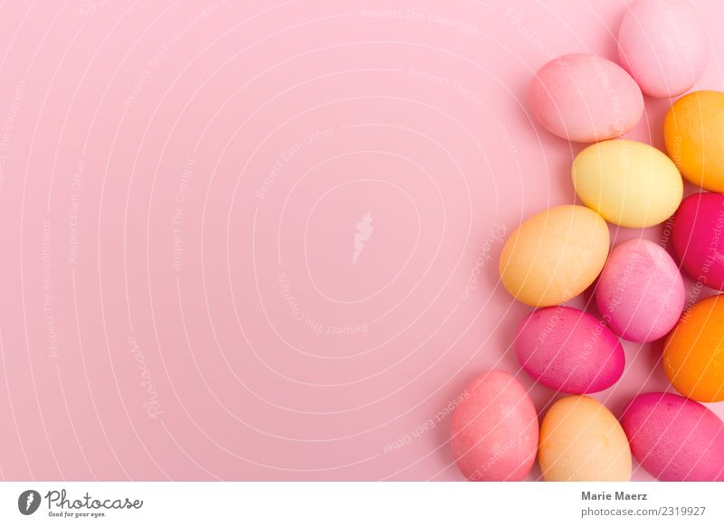 Rosa Hintergrund mit bunten Ostereiern Ostern Essen Feste & Feiern liegen ästhetisch Fröhlichkeit lecker Wärme mehrfarbig Frühlingsgefühle Freizeit & Hobby