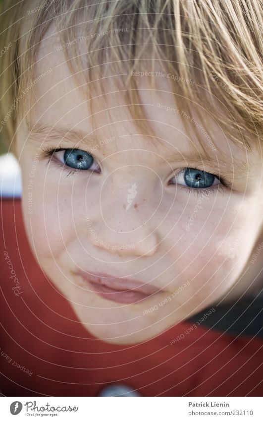 Kleiner Fratz [II] Mensch maskulin Kind Junge Kopf 1 3-8 Jahre Kindheit Blick authentisch blond Freundlichkeit Fröhlichkeit Glück hell schön Neugier Stimmung