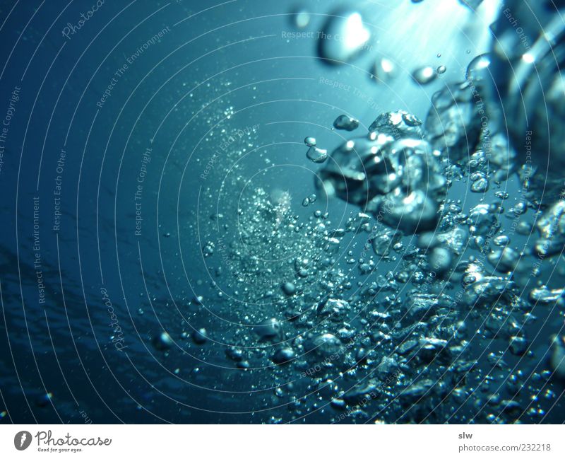 unter Wasser tauchen Natur Meer Sauberkeit blau Stimmung mehrfarbig Unterwasseraufnahme Menschenleer Textfreiraum links Tag Kunstlicht Luftblase sprudelnd