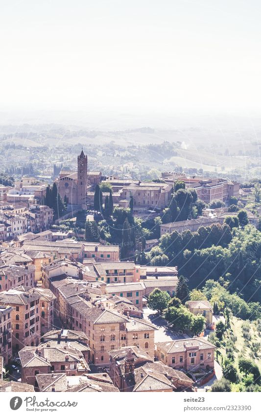 Siena von oben – Toskana, Italien Freizeit & Hobby Ferien & Urlaub & Reisen Tourismus Ausflug Sightseeing Städtereise Sommer Haus Architektur Landschaft Himmel