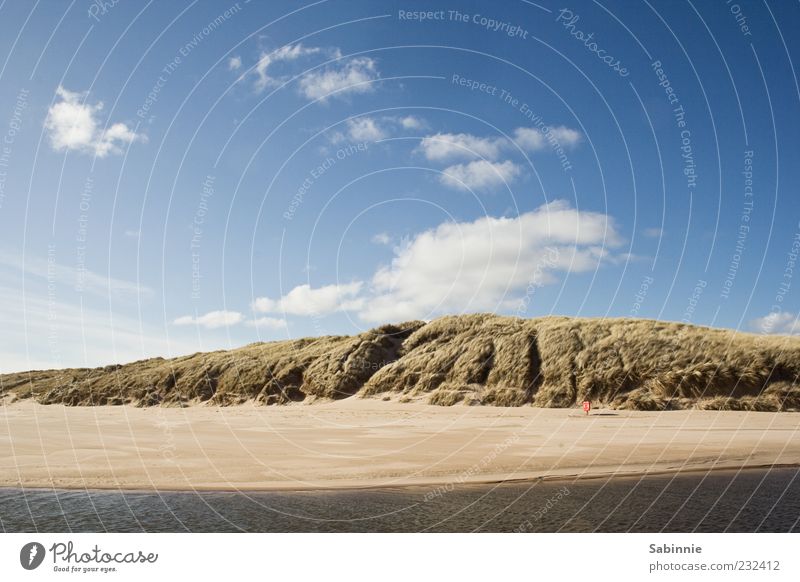 Straaaaaand. Natur Pflanze Sand Himmel Wolken Schönes Wetter Wind Sträucher Hügel Wellen Küste Strand Bucht Nordsee Düne Ebbe Flut Erholung natürlich wild blau