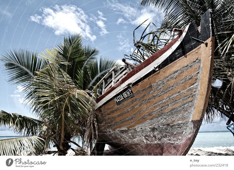 Ausgedient Ferien & Urlaub & Reisen Tourismus Sommer Sommerurlaub Strand Meer Himmel Wolken Palme Küste Fischerboot alt stagnierend Vergänglichkeit Malediven