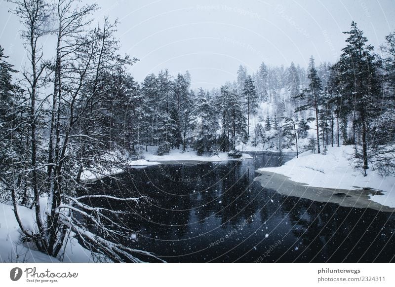 See und Wald im Winter bei Schneefall in Norwegen Ferien & Urlaub & Reisen Ausflug Abenteuer Ferne Freiheit Expedition Natur Landschaft Wasser Himmel Klima