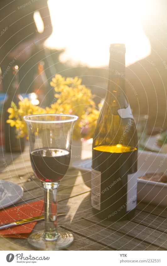Summer Wine Lebensmittel Getränk Alkohol Wein Glas ästhetisch Fröhlichkeit Lebensfreude Frühlingsgefühle Weinflasche Weinglas Forsythienblüte blenden umgänglich