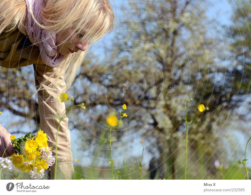 Blumenmädchen Mensch feminin Junge Frau Jugendliche Erwachsene 1 18-30 Jahre Natur Frühling Sommer Schönes Wetter Pflanze Baum Blatt Blüte Garten Park Wiese