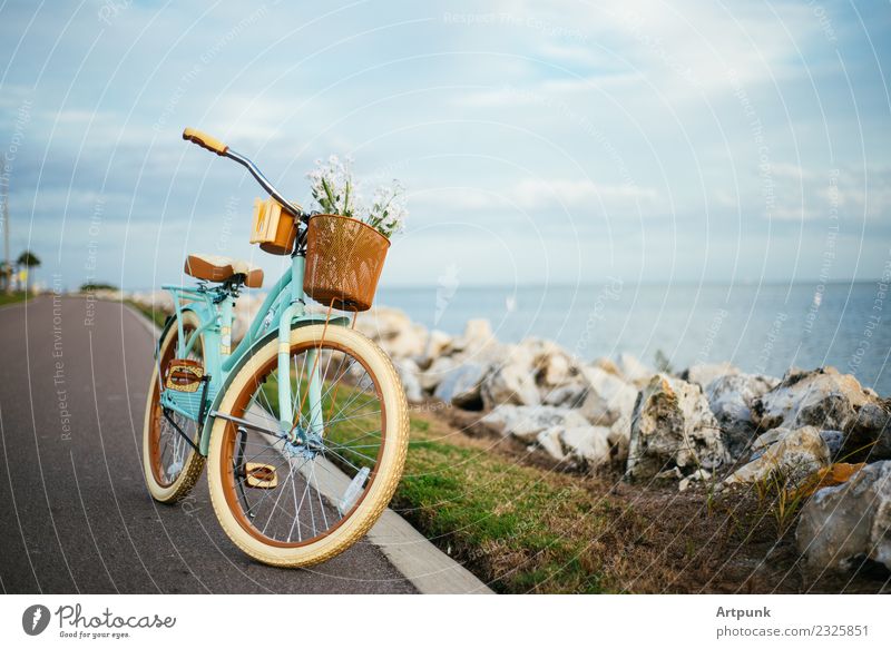 Fahrrad am Strand weiße Räder Fahrradtour Cruiser Sommer Ferien & Urlaub & Reisen Korbblütengewächs Blume tropisch Steinblock Himmel Wolken Sonnenuntergang