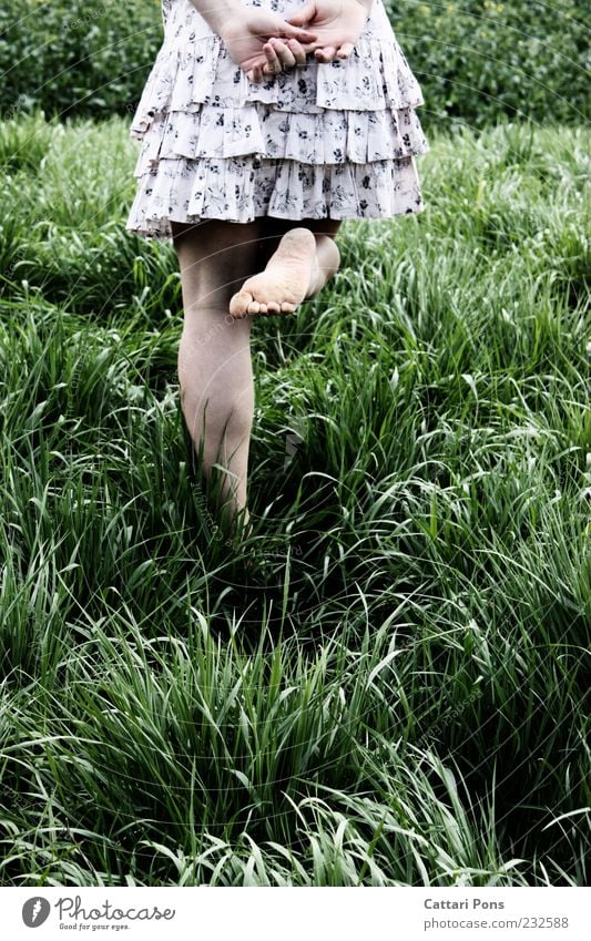 whatever. Mensch feminin Mädchen Junge Frau Jugendliche Beine Fuß 1 Natur Pflanze Gras Sträucher Mode Kleid gehen genießen Unendlichkeit dünn grün rosa schwarz