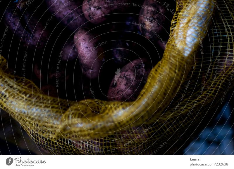 Lila Kartoffeln Lebensmittel Gemüse Ernährung Mittagessen Abendessen Bioprodukte Vegetarische Ernährung Slowfood Sack Jutesack außergewöhnlich dreckig dunkel