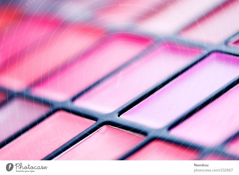 Die Welt ist Pink. schön Lippenstift Kitsch Visagist Kosmetik Farbe rosa Paletten Lipgloss Farbverlauf Farbton Unschärfe Farbfoto mehrfarbig Studioaufnahme