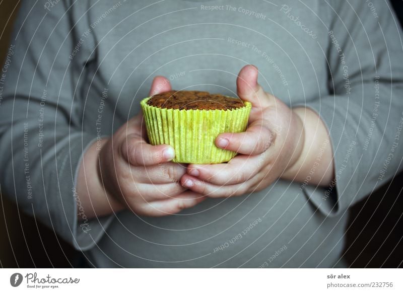 Bescheidenheit Lebensmittel Dessert Süßwaren Backwaren Muffin Ernährung Kaffeetrinken Mensch maskulin Kleinkind Kindheit Arme Hand Finger Bauch 1 1-3 Jahre