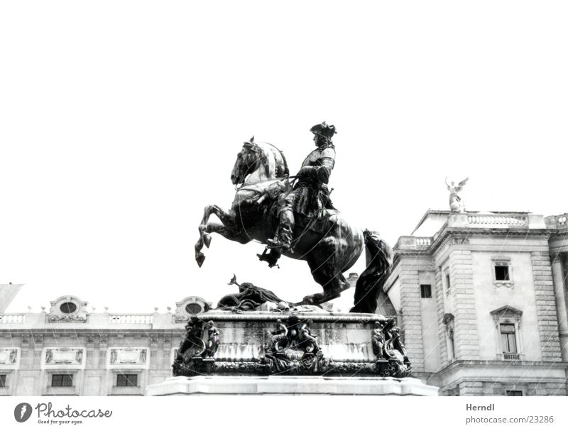 Der Reiter vor der Hofburg Statue Pferd Wien schwarz weiß König historisch Vienna Black White