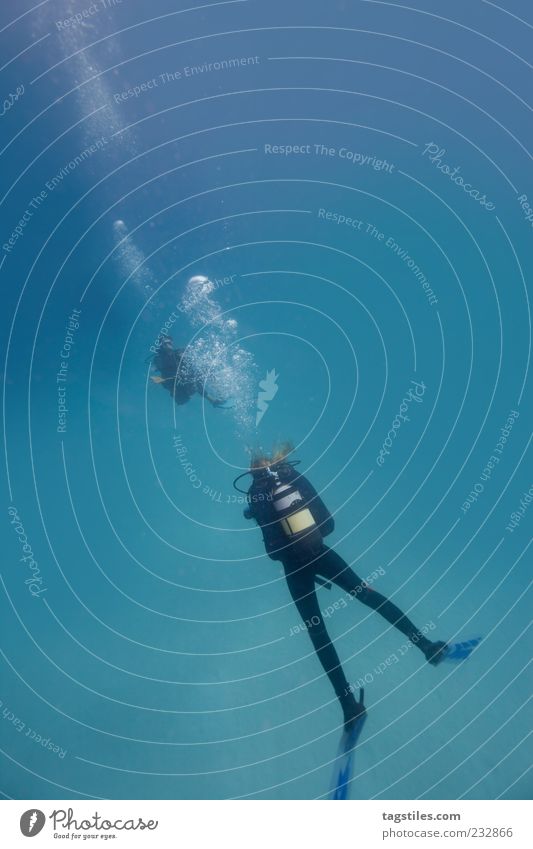CHILL COMMUNICATION tauchen Taucher Wasser Meer Unterwasseraufnahme Frau Mann Mauritius unten Blase blau tief Meerestiefe Ferne Tourismus