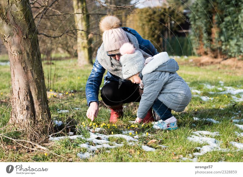 Frühlingsblümchen entdecken Mensch feminin Kind Kleinkind Frau Erwachsene Weiblicher Senior Großmutter 2 1-3 Jahre 45-60 Jahre Pflanze Gras Winterlinge Wiese