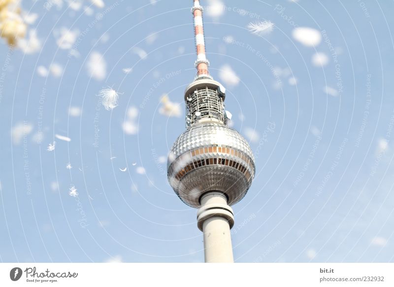 ENDLICH !!! ... Wolkenloser Himmel Frühling Sommer Hauptstadt Menschenleer Turm Bauwerk Architektur Sehenswürdigkeit Wahrzeichen Berliner Fernsehturm fliegen