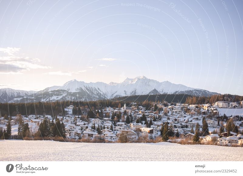 Flims Umwelt Natur Landschaft Winter Schönes Wetter Schnee Alpen Berge u. Gebirge kalt blau Schweiz Bergdorf Dorfidylle Winterurlaub Farbfoto Außenaufnahme