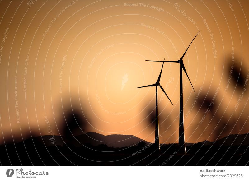 Windmühlen beim Sonnenuntergang Technik & Technologie Energiewirtschaft Erneuerbare Energie Windkraftanlage Windmühlenflügel Umwelt Landschaft Klima Hügel