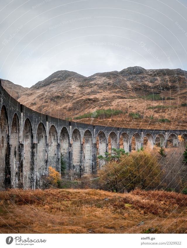 Viadukt in Schottland; Drehort Harry Potter Ferien & Urlaub & Reisen Tourismus Ausflug Abenteuer Ferne Freiheit Winter Berge u. Gebirge wandern Umwelt Natur