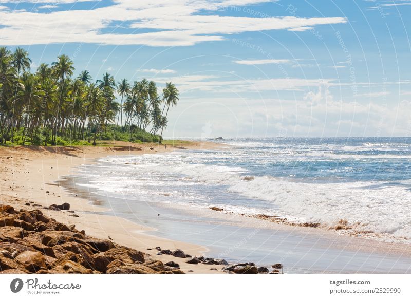 Sri Lanka, Rathgama - Landschaft von Rajgama aka Rathgama Asien Bucht Strand Küste Horizont Idylle erleuchten Insel Natur Meer Palme friedlich Postkarte