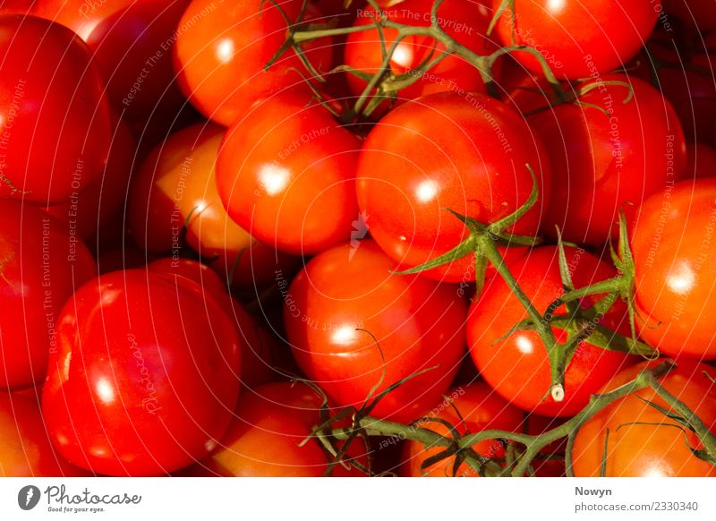Frische leckere gesunde Tomaten Lebensmittel Gemüse Salat Salatbeilage Frucht rot Ernährung Bioprodukte Vegetarische Ernährung Diät Fasten authentisch einfach