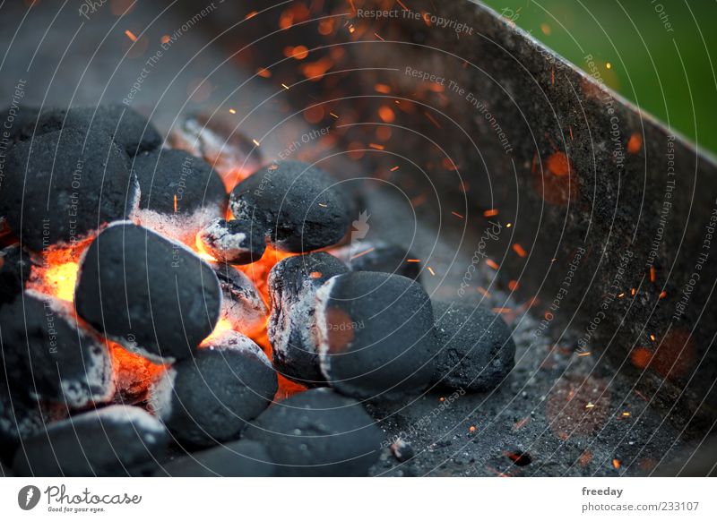 Kernexplosion! Freizeit & Hobby Feuer Grill Holz Rauch leuchten heiß gefährlich Grillkohle Kohle Explosion Funken rot Glut Farbfoto mehrfarbig Außenaufnahme